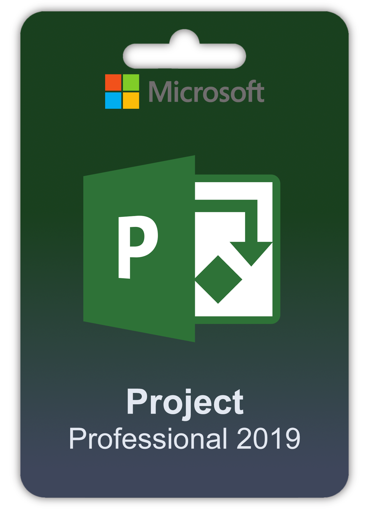 pro 19 Microsoft Project 2019 Professional - Image 1